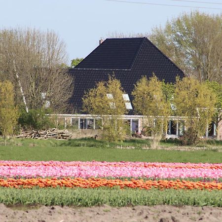 B&B Heeringhuusen Haringhuizen 外观 照片