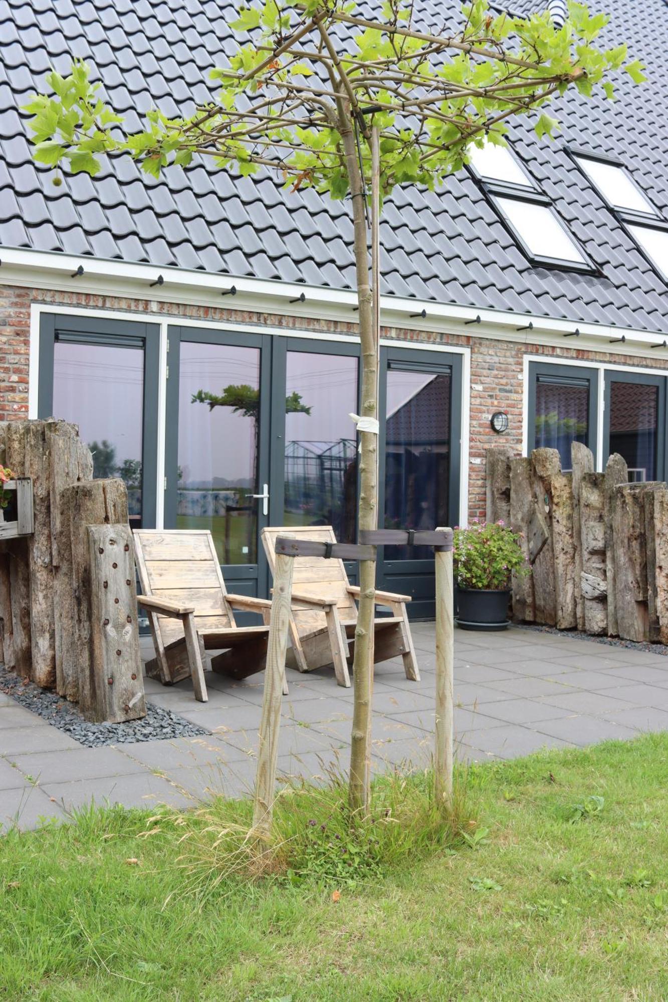 B&B Heeringhuusen Haringhuizen 外观 照片